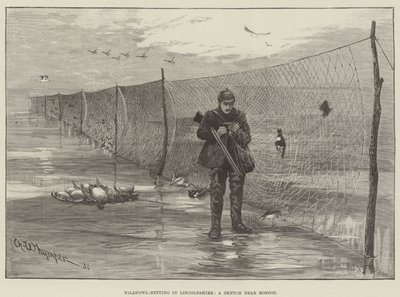 Wildfowl-Netting in Lincolnshire, a Sketch near Boston by Charles Whymper